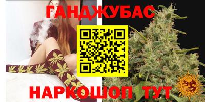 сатива Гусиноозёрск