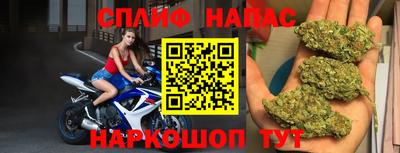 молекула духа Гусев