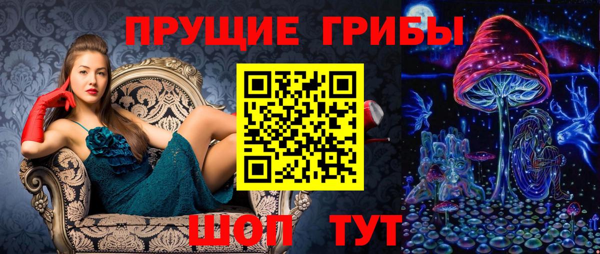 Псилоцибиновые грибы Cubensis  Вход с VPN  Вольск  Галлюциногенные грибы прущие грибы 
