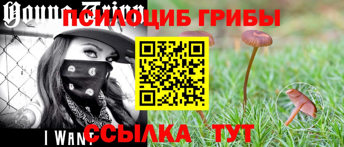 Галлюциногенные грибы ЛСД Вольск